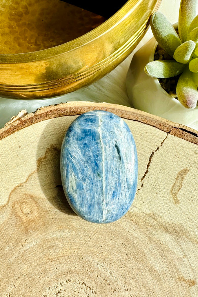 Blue Kyanite Palm Stone (B)