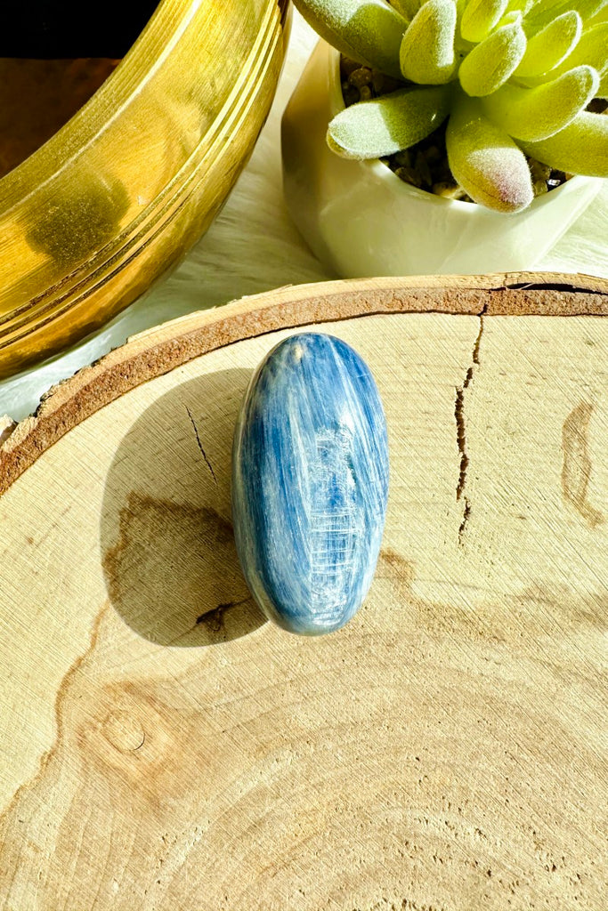 Blue Kyanite Shiva (B)