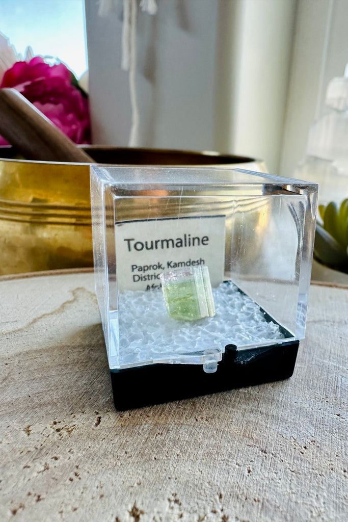 Tourmaline from Afghanistan Thumbnail 001