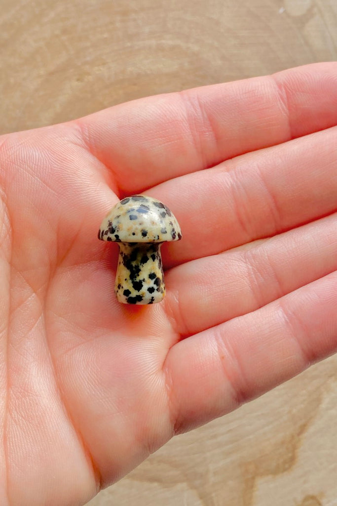 Dalmatian Mushroom