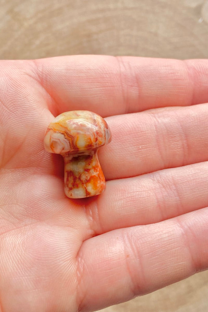 Crazy Lace Agate Mushroom