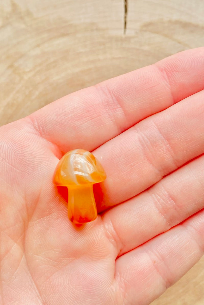 Carnelian Mushroom