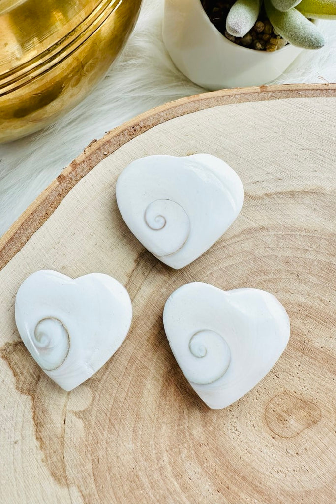 Shiva Shell Heart