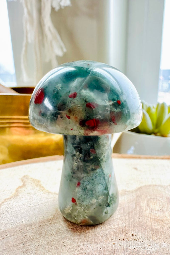 African Bloodstone Mushroom