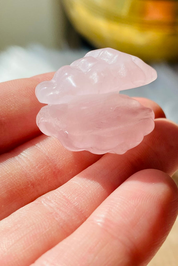 Rose Quartz Seashell