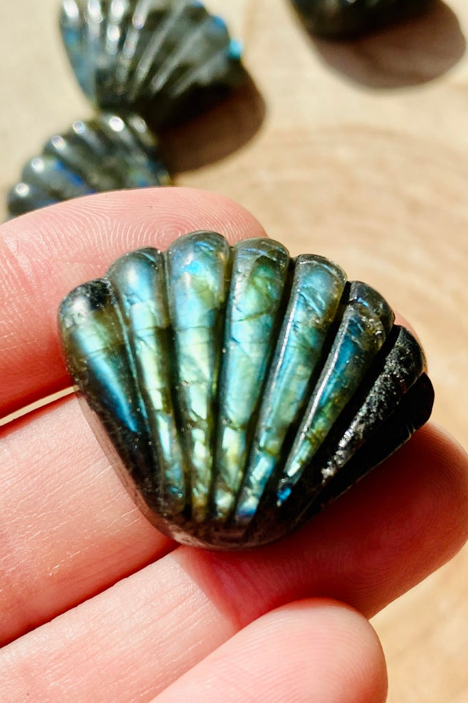 Labradorite Seashell