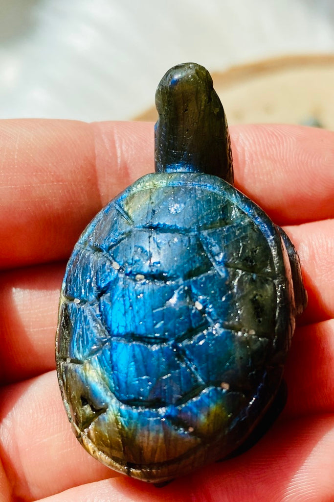 Labradorite Turtle