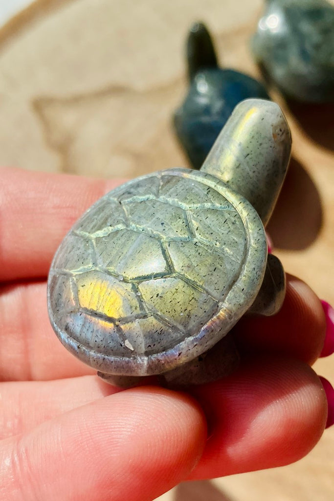 Labradorite Turtle