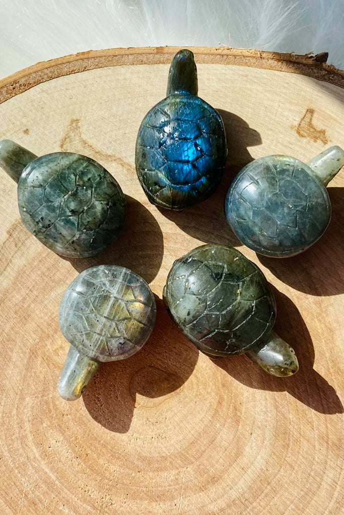 Labradorite Turtle