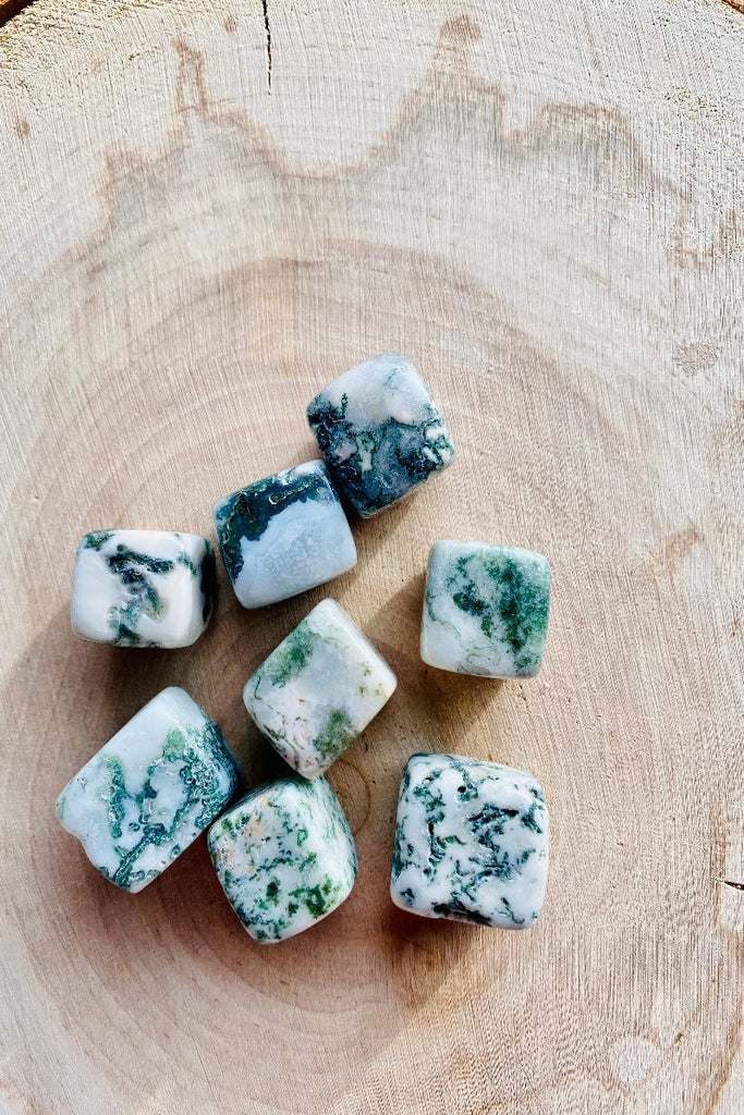 Tree Agate Cube