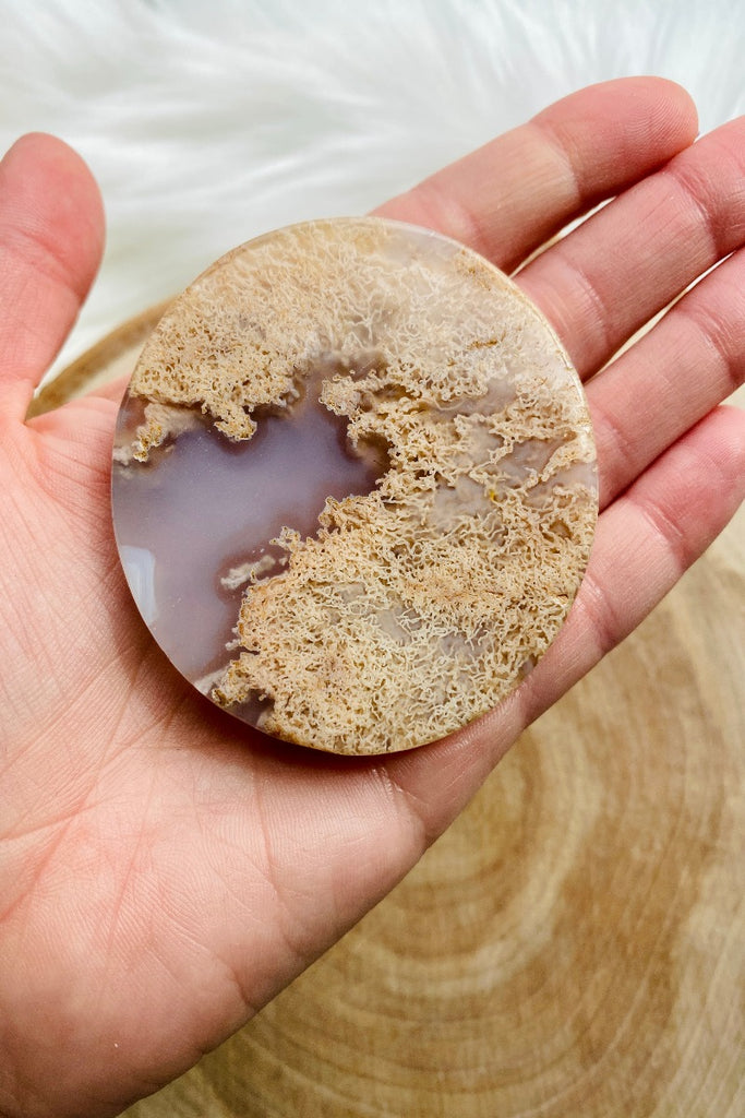 Flower Agate Disc