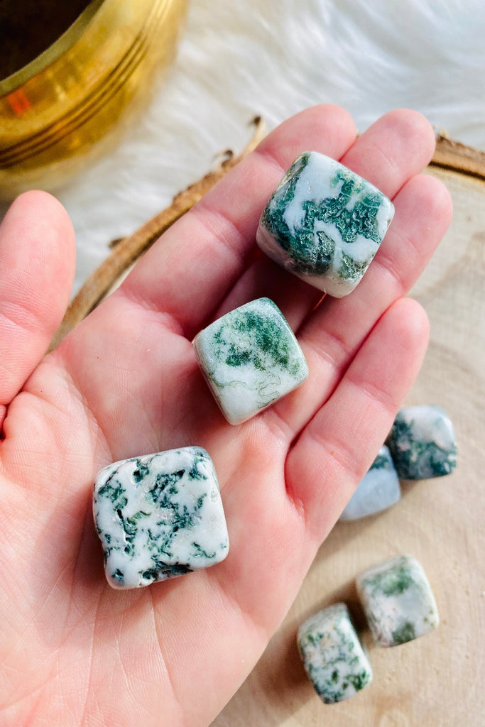 Tree Agate Cube