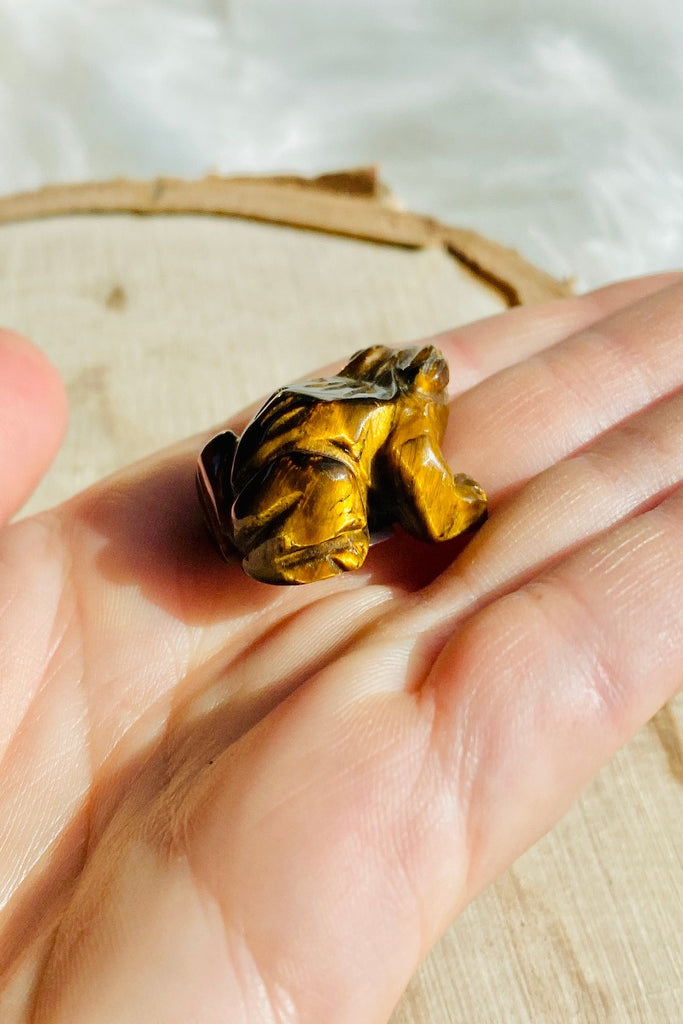 Tiger Eye Frog - Small