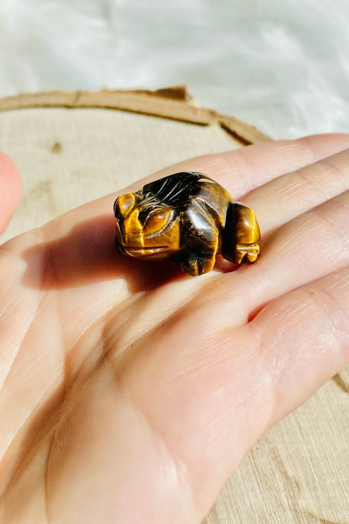 Tiger Eye Frog - Small